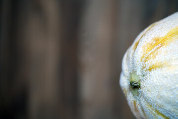 melon on wooden background