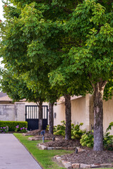 Landscaping, Lawn and Garden