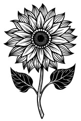 black and white flowers