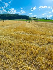 Fototapeta premium Golden Harvest at a Sunny Field with Baled Straw Under a Bright Blue Sky