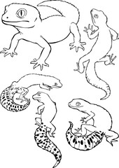 Black and white line drawing used for illustration, printing and engraving in vector format.