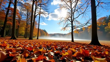 Autumnal Landscape with Lake and Fallen Leaves