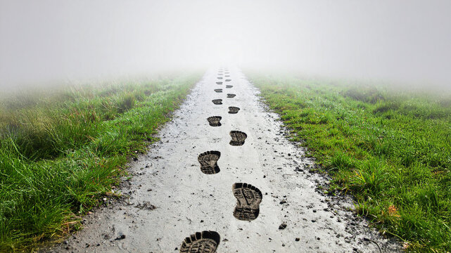 A long, winding dirt path covered in clear footprints disappears into a thick mist, flanked by vibrant green grass, symbolizing a journey into the unknown or a solitary walk.