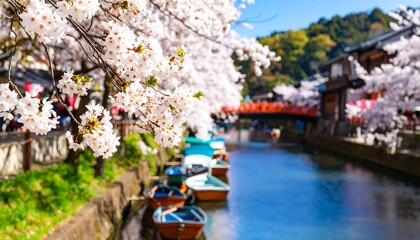 Cherry blossoms over a canal with boats