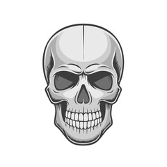 Obraz premium Anatomical Skull Illustration Front View Cartoon Design Element Anatomy Grim