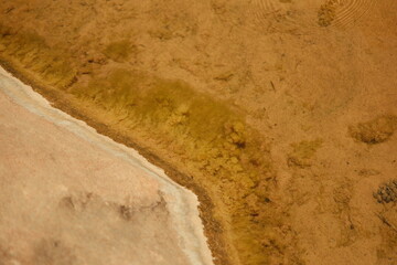 Rocks in murky algae water in utah during summer