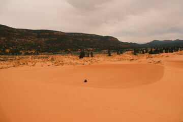 ATV on dunes at coral pink sand dunes