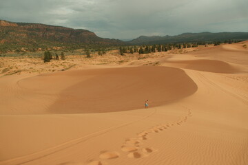 tourist dune sledding sand dune boarding at coral pink sand dunes