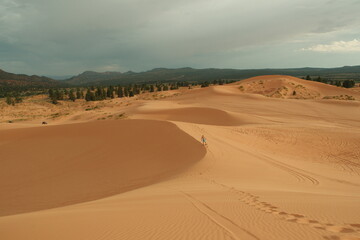 tourist dune sledding sand dune boarding at coral pink sand dunes