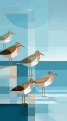 Shorebirds background with copy space vertical