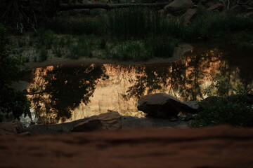 Reflection of sky and nature in calm water at Emerald Pools hike Zion National Park utah in summer time