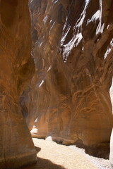  Beautiful slot canyons with sunlight reflecting on water at Narrows hike in zion national park utah on a hot summer day