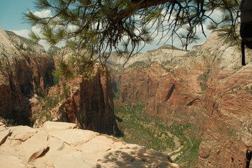 Obraz premium View from top of Angel's landing hike at zion national park Utah of red cliffs and greenery and blue skies
