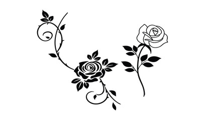 Elegant black and white illustration of two blooming roses with swirling vines and leaves on a white background