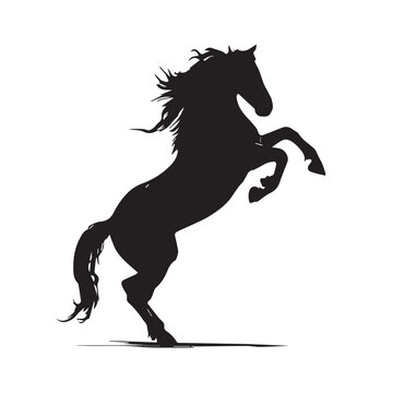 vector illustration of bucking horse silhouette set, Black & White silhouette set