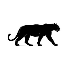 Obraz premium Silhouette of a black panther walking