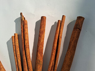 sticks of cinnamon sticks