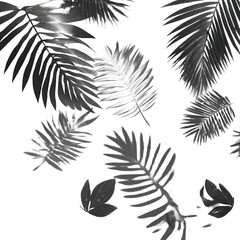 Abstract grayscale tropical leaves (1)