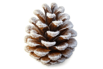Snowy pine cone resting against white backdrop, highlighting winter's delicate texture and soft crystalline details
