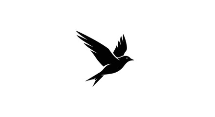 Obraz premium Silhouette of a bird in flight with wings spread and tail feathers visible against a white background plane