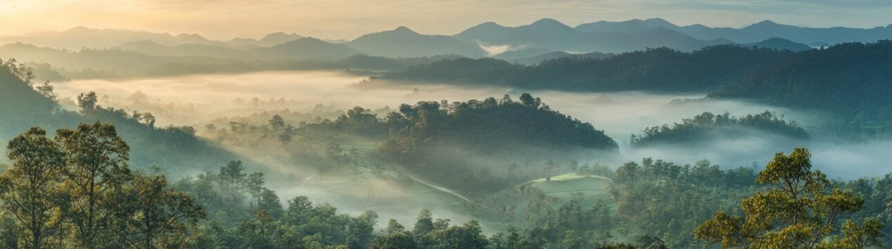 The amazing fog landscape is a key feature of the long panoramic banner of the black forest