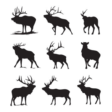 vector illustration of bull elk silhouette set, Black & White silhouette set