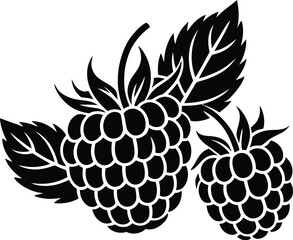 Black and white illustration of two raspberries with leaves