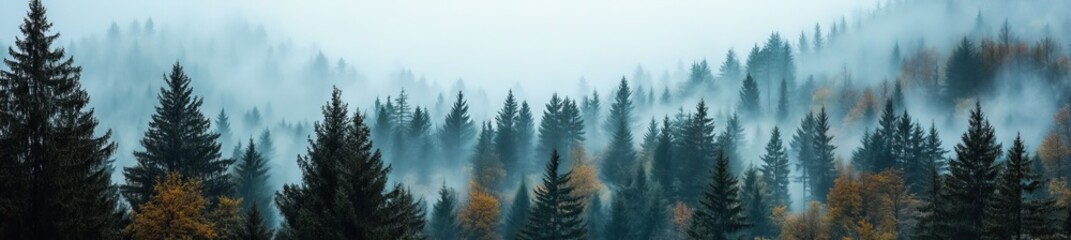 Autumnal deciduous forest from a top-down perspective, providing a natural background or texture