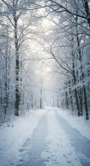 Naklejka premium Snowy forest path