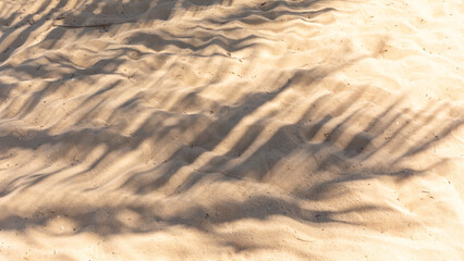Beach sand with the palm leaves shadow. The shadow of palm leaves on a beige surface on windy day. Summer vacation concept. Background with copy space. High quality photo