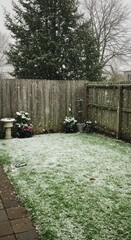 Snowy backyard garden