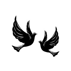 Two Graceful Doves in Flight Against White BackgrounD