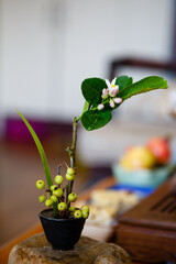 Zen flower arrangement with citrus flowers as the theme