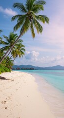 Obraz premium Tropical beach with palm trees and water bungalows