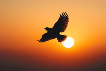 Obraz premium Silhouette of a bird in flight during sunset.