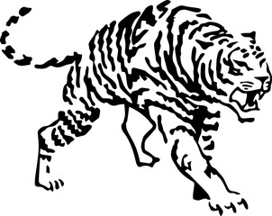 vector illustration of a tiger