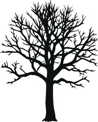 Obraz premium Leafless Bare Tree Silhouette with Twisted Branches, Gothic Vector Art