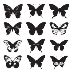 Fototapeta premium vector illustration of butterfly wings silhouette set, Black & White silhouette set