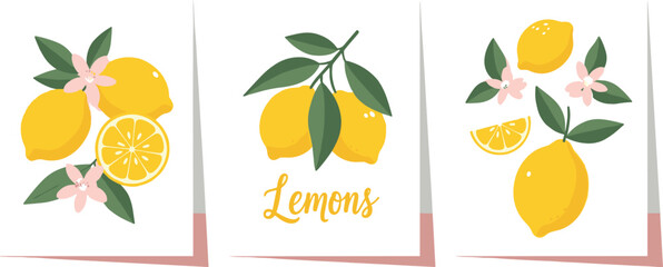 Set of citrus fruits abstract poster. Contemporary print with hand drawn lemon, leaves and flowers