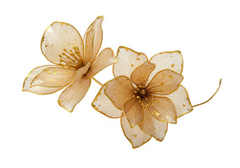 Elegant golden edged translucent flowers with gold leaf accents isolated on transparent background