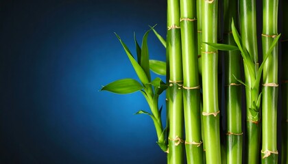Fototapeta premium Close-up of vibrant green bamboo stalks against a deep blue backdrop
