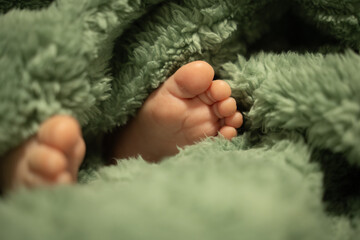 newborn baby feet