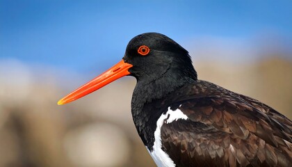Close-up of a bird's head