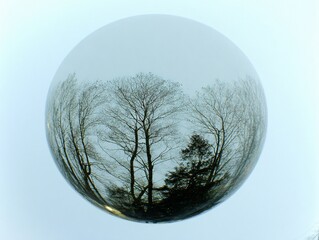 Trees reflected in a gazing ball under a pale blue sky in winter