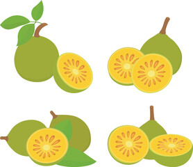 Bael Fresh Food Vector Icon Design Illustration