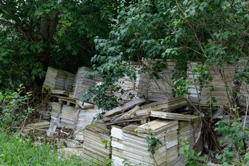 Piles of unused construction panels lie abandoned and partially decayed among dense forest plants, overtaken by branches and wild growth.