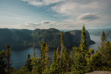 Beautiful Fjord View