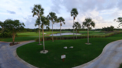 Palm-Lined Pathway at a Tropical Resort in Los Cabos