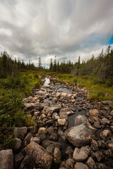River in the mountains