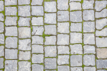 Texture of paved road with green moss, top view